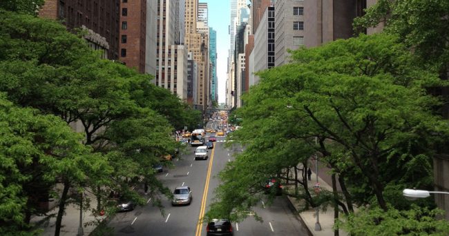 New York City streets