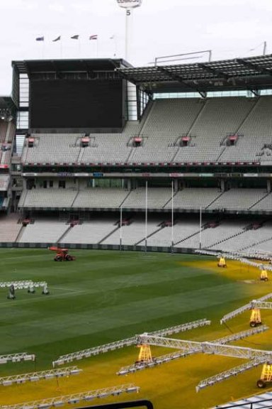 Transport of Tomorrow conference 2019, growing grass at the MCG