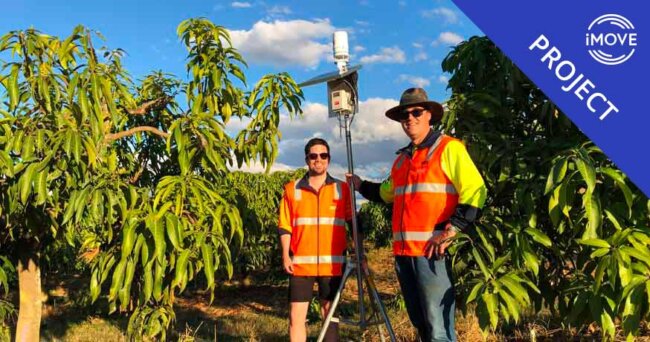 Project 2-018 lead image - iMOVE mango supply chain