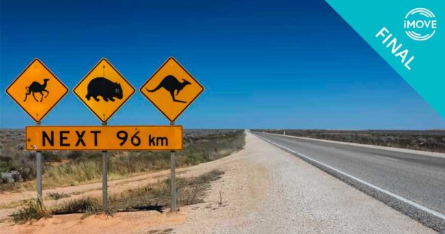 Illustrative graphic for iMOVE project 1-079 " Large Animal Activated Roadside Monitoring and Alert System" outcome article.