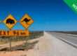 Illustrative image for WEBINAR - Large Animal Activated Roadside Monitoring Alert System