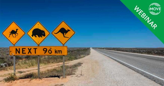 Illustrative image for WEBINAR - Large Animal Activated Roadside Monitoring Alert System