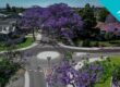 Illustrative image for iMOVE project 6-020 outcomes - Creation of low or zero-carbon neighbourhoods